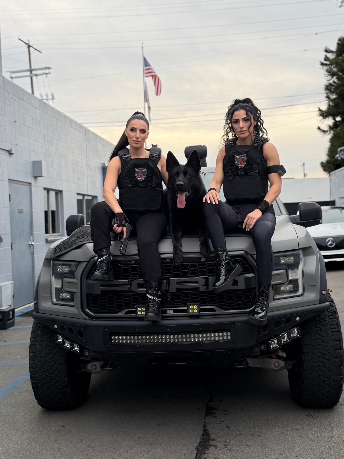 Security Dogs for Professionals