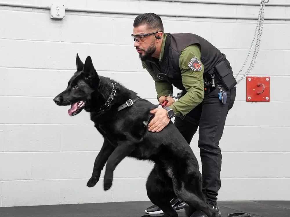Handler in control through the redirect.